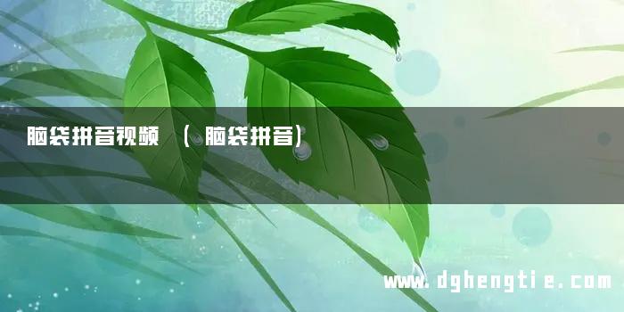 脑袋拼音视频 (脑袋拼音)